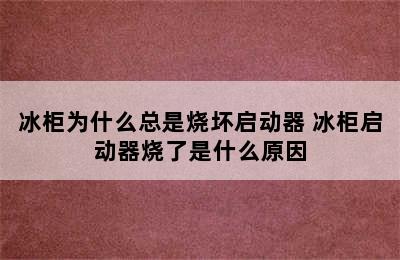 冰柜为什么总是烧坏启动器 冰柜启动器烧了是什么原因